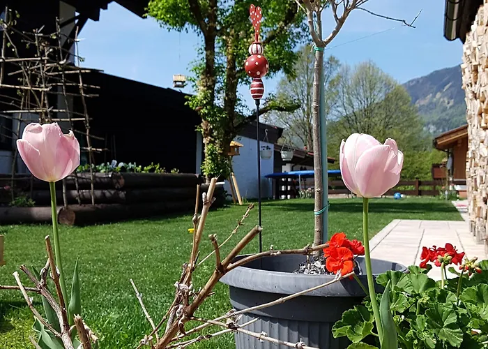 Hochgern Apartamento *